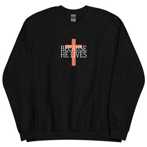 He i sweatshirt sales